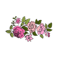 Beautiful Floral graphics isolated on Png transparent background