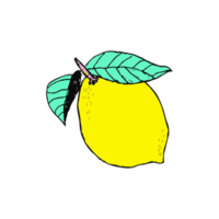 Lemon fruits illustration isolated on Png Transparent background