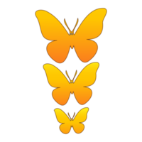Flat style butterfly illustration isolated on png transparent background