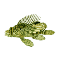 beau poisson d'aquarium isolé sur fond transparent png