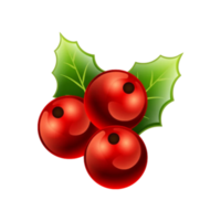 buon natale decorazione png