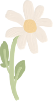 white daisy cute kid style oil paint png