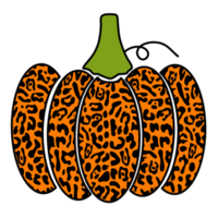 Pumpkin Leopard Cheetah Sublimation,orange png