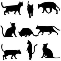 siluetas vectoriales de gatos en varias poses sobre un fondo blanco. vector