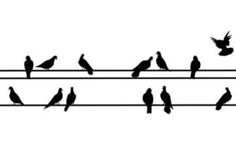 Vector silhouette of a group of doves sitting on a wire on a white background. Shadow of a black dove perched.