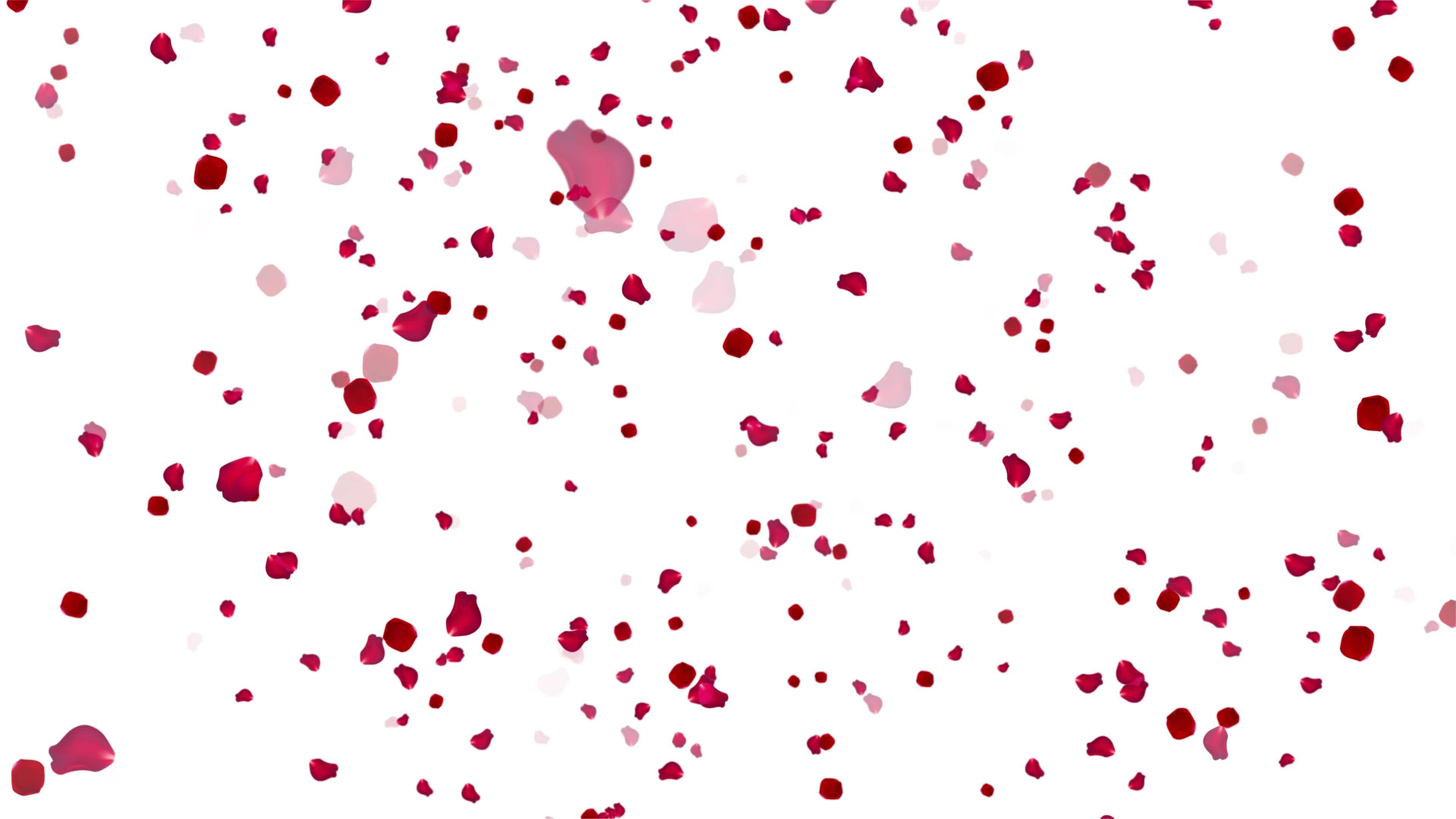 Animated Falling Flowers