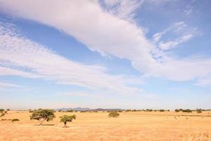 Landscape in summer photo