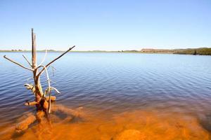 Seascape in summer photo