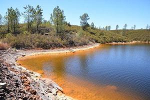 Landscape in summer photo