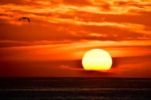 Sunset over the ocean photo