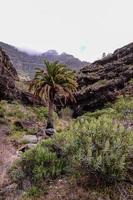 Landscape on the Canary Islands photo