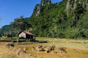 Rural landscape in East Asia photo