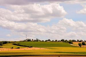 Landscape in summer photo