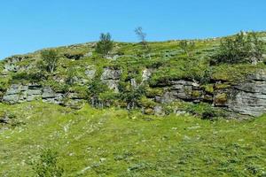 Landscape in Sweden, Europe photo