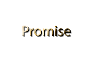 PROMISE NAME 3D png