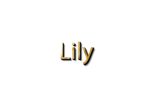 LILY NAME 3D png