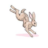 hand  drawn running Cute Rabbit Illustration, vector