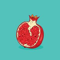 Pomegranate Hand Drawn Vector Illustration with Leaf. Isolated Red Pomegranate Whole Fruit and Half Sliced.