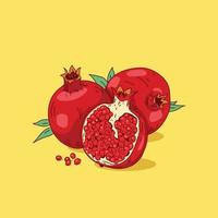 Granada ilustración vectorial dibujada a mano con hoja. fruta entera de granada roja aislada y media rebanada. vector