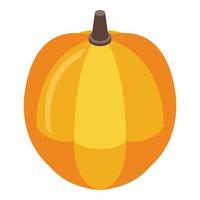 Ripe pumpkin icon, isometric style vector