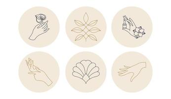 linear template logo symbols with luxury hunds on a nude background for social networks vector