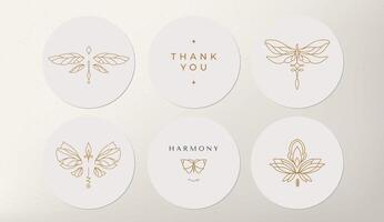 linear template logo symbols with luxury dragonfly on a nude background for social networks vector