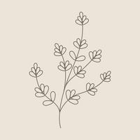 Leaves and Flowers Line Doodle vector