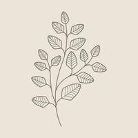 doodle de línea de hojas y flores vector