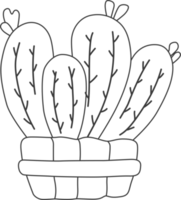 cactus plant, drawing for coloring. png