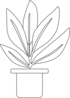 plantas em vasos, desenho para colorir. png