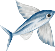 Aquarell Seefisch ClipArt png