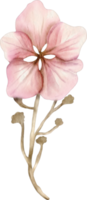 elemento de arte de clipe floral em aquarela png