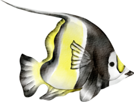 butterfly fish watercolor png