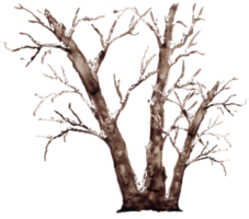 acquerello inverno albero paesaggio png