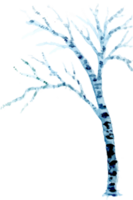 vattenfärg vinter- träd landskap png