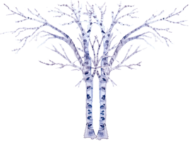 acquerello inverno albero paesaggio png