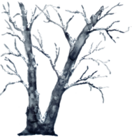 paisaje de árbol de invierno de acuarela png
