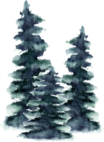 paysage d'arbres d'hiver aquarelle png