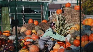 Woman holds pumpkin at fall market display video