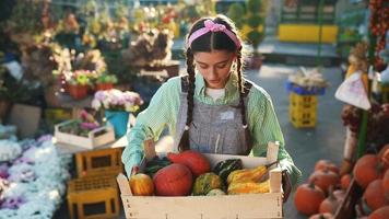 Woman with pumpkins at fall market display video