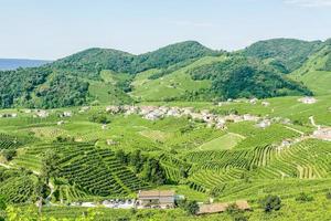 paisaje en verano foto