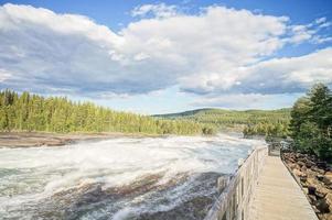 Landscape in summer photo