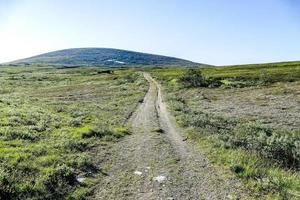 Landscape in summer photo