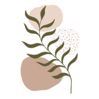 plante à feuilles esthétique avec des formes abstraites. style minimaliste. la nature. png