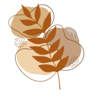 ilustración de hojas de otoño. estética bohemia. estilo minimalista. png