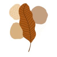 Autumn leaves illustration. Boho Aesthetic. Minimalist Style. png