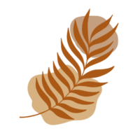 Autumn leaves illustration. Boho Aesthetic. Minimalist Style. png