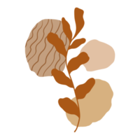 Autumn leaves illustration. Boho Aesthetic. Minimalist Style. png