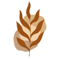 Autumn leaves illustration. Boho Aesthetic. Minimalist Style. png