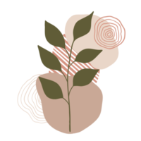 Ästhetische Blattpflanze mit abstrakten Formen. minimalistischer Stil. Natur. png